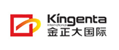 金正大国际
