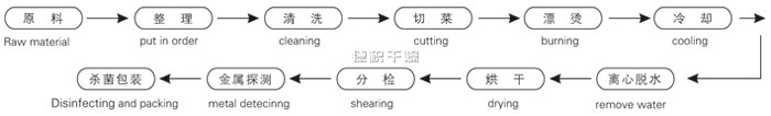 脱水蔬菜带式干燥工艺流程