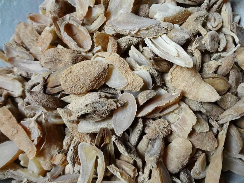 烘干后的中药材饮片